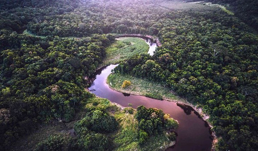 Pogled iz zraka na vijugasto reko sredi gozda.